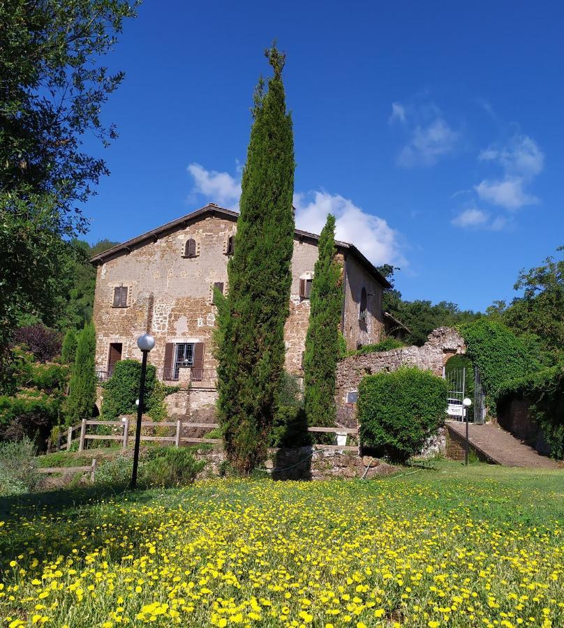 B&B Il Giardino Del Borgo Veiano Εξωτερικό φωτογραφία