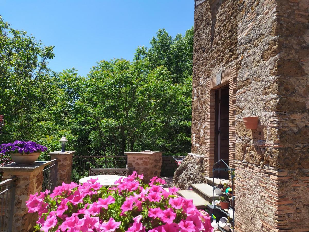 B&B Il Giardino Del Borgo Veiano Εξωτερικό φωτογραφία