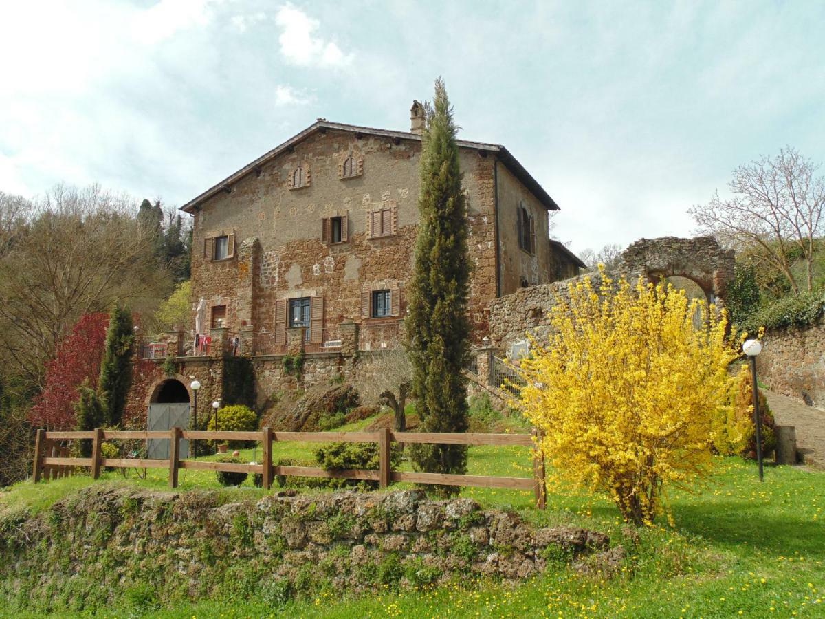 B&B Il Giardino Del Borgo Veiano Εξωτερικό φωτογραφία